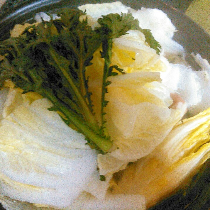 白菜と春菊のホットサラダ